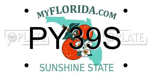 PY39S Florida License Plate