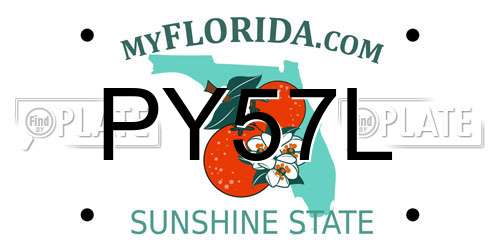 PY57L Florida License Plate