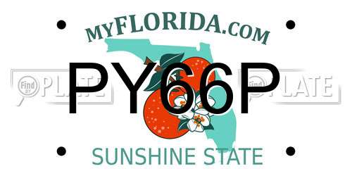 PY66P Florida License Plate