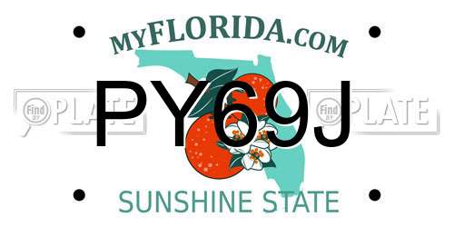 PY69J Florida License Plate
