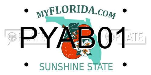 PYAB01 Florida License Plate