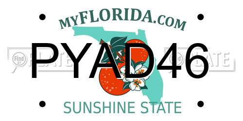 PYAD46 Florida License Plate