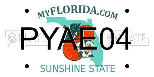 PYAE04 Florida License Plate