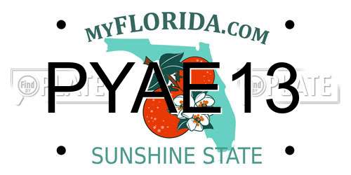 PYAE13 Florida License Plate