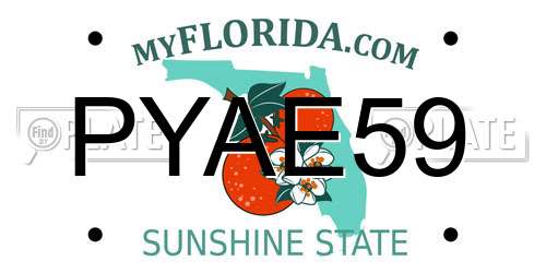 PYAE59 Florida License Plate