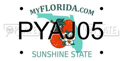 PYAJ05 Florida License Plate
