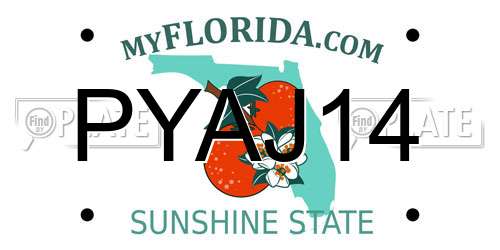 PYAJ14 Florida License Plate