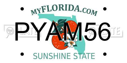 PYAM56 Florida License Plate