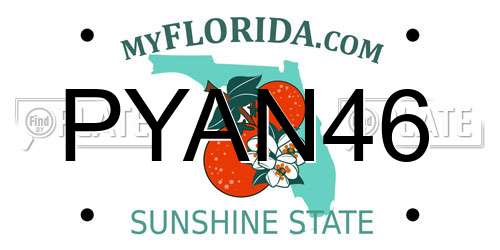 PYAN46 Florida License Plate