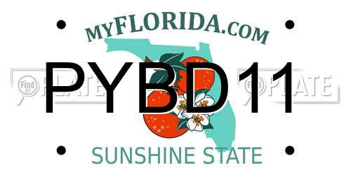 PYBD11 Florida License Plate