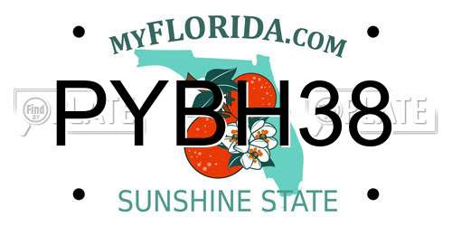PYBH38 Florida License Plate