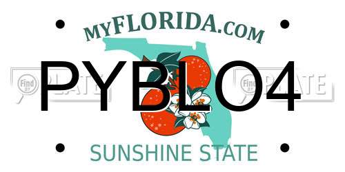 PYBLO4 Florida License Plate