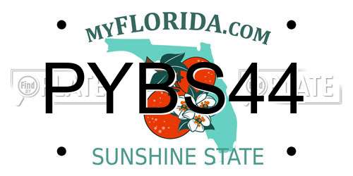 PYBS44 Florida License Plate