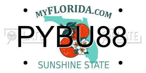 PYBU88 Florida License Plate