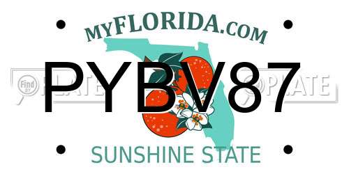 PYBV87 Florida License Plate