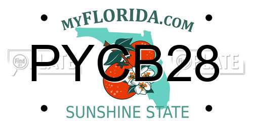 PYCB28 Florida License Plate