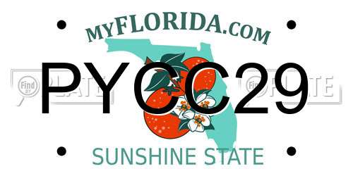 PYCC29 Florida License Plate