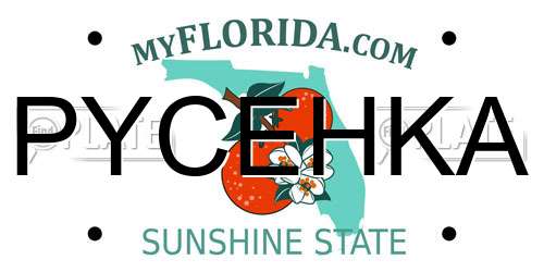 PYCEHKA Florida License Plate