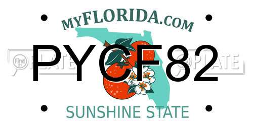 PYCF82 Florida License Plate