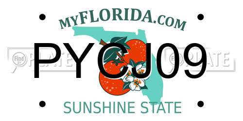 PYCJ09 Florida License Plate