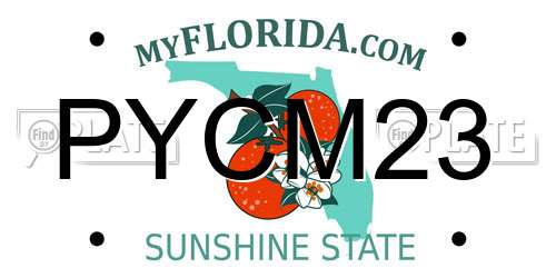 PYCM23 Florida License Plate