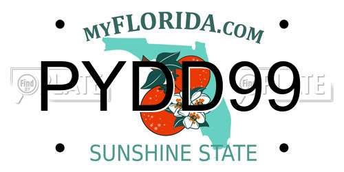 PYDD99 Florida License Plate