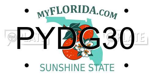 PYDG30 Florida License Plate