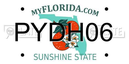 PYDH06 Florida License Plate