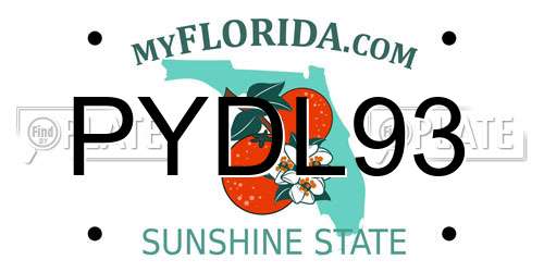 PYDL93 Florida License Plate