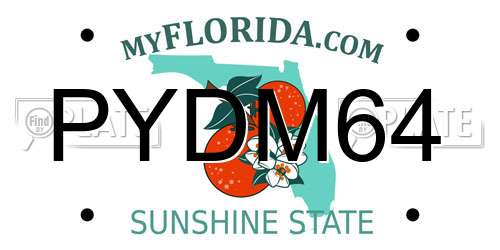 PYDM64 Florida License Plate