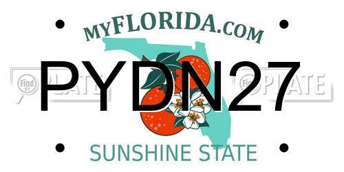 PYDN27 Florida License Plate
