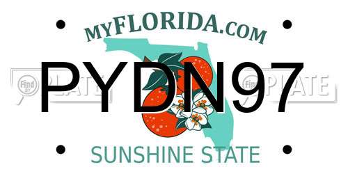 PYDN97 Florida License Plate