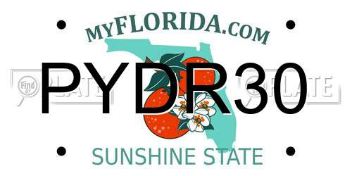 PYDR30 Florida License Plate