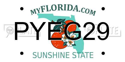 PYEG29 Florida License Plate