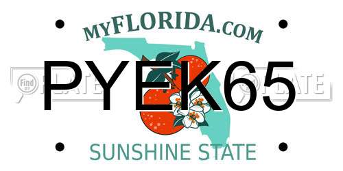 PYEK65 Florida License Plate