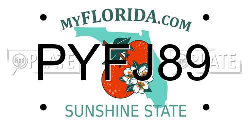 PYFJ89 Florida License Plate