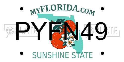 PYFN49 Florida License Plate