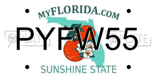 PYFW55 Florida License Plate