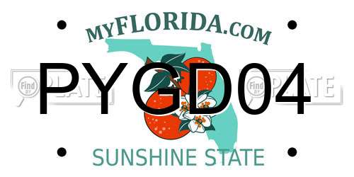 PYGD04 Florida License Plate