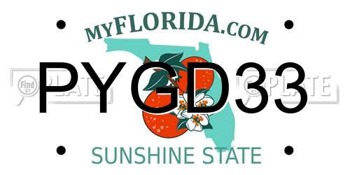 PYGD33 Florida License Plate
