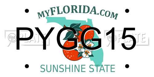 PYGG15 Florida License Plate