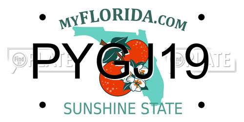 PYGJ19 Florida License Plate