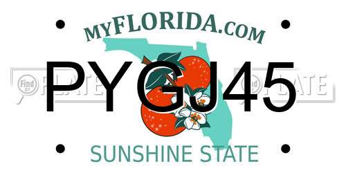 PYGJ45 Florida License Plate
