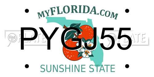 PYGJ55 Florida License Plate