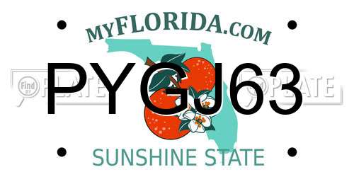 PYGJ63 Florida License Plate