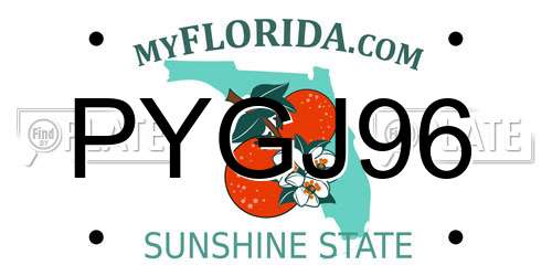 PYGJ96 Florida License Plate