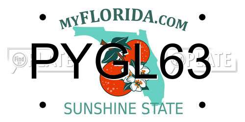 PYGL63 Florida License Plate