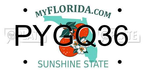 PYGQ36 Florida License Plate