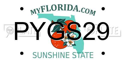 PYGS29 Florida License Plate