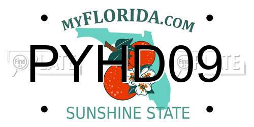 PYHD09 Florida License Plate